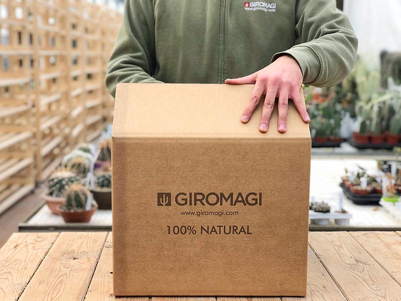 Giromagi Packaging