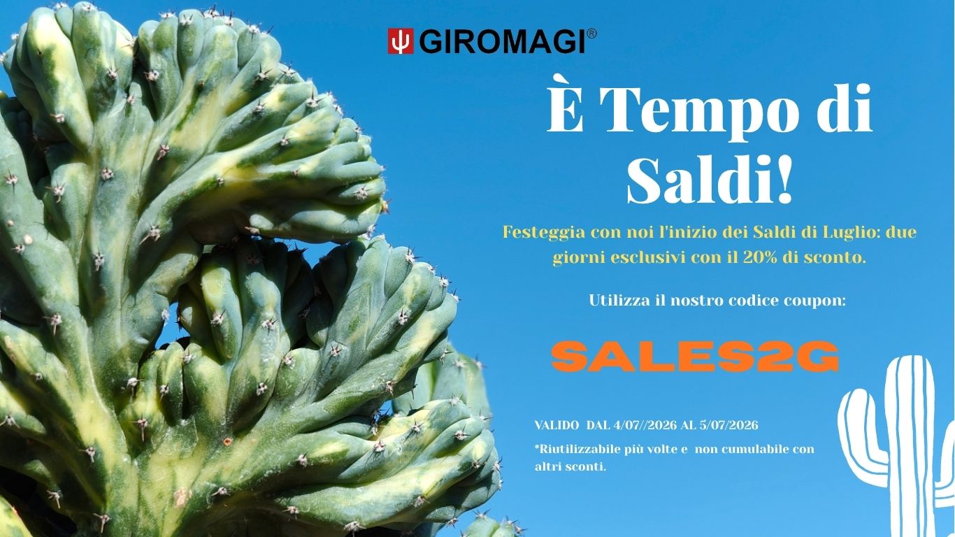 Promo Banner