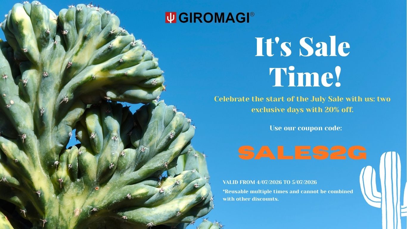Promo Banner