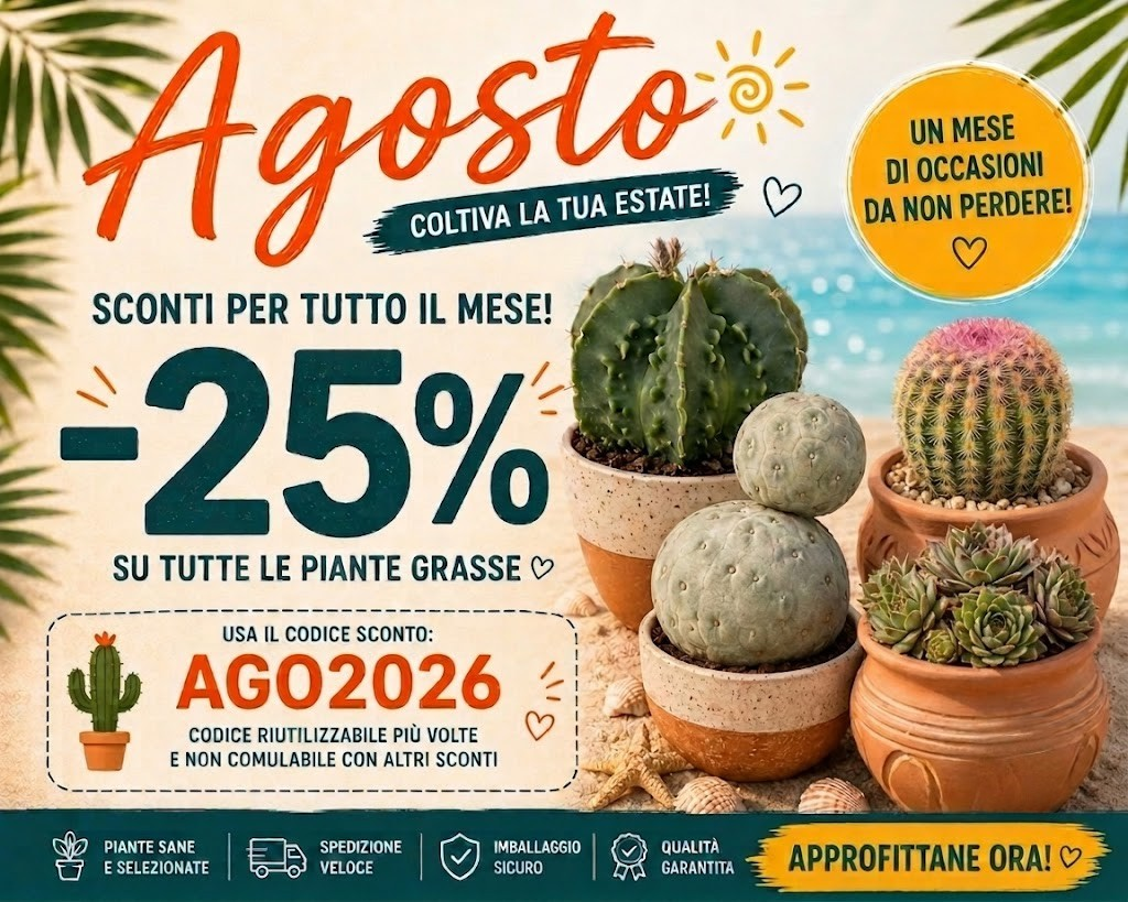 Promo Banner
