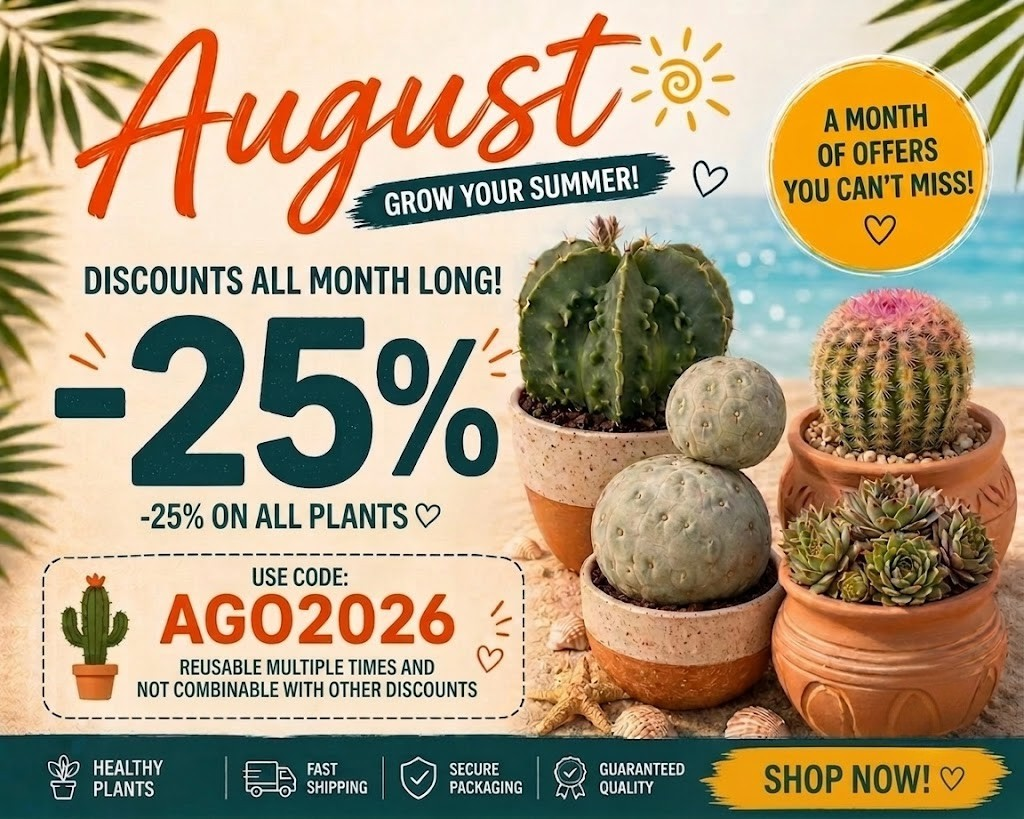 Promo Banner